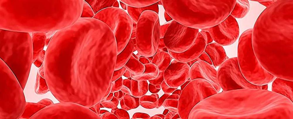 Top Ten Blood Tests